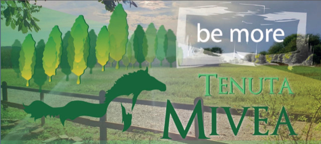 Tenuta Mivea | Be More