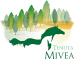 Logo | Tenuta Mivea - Be More